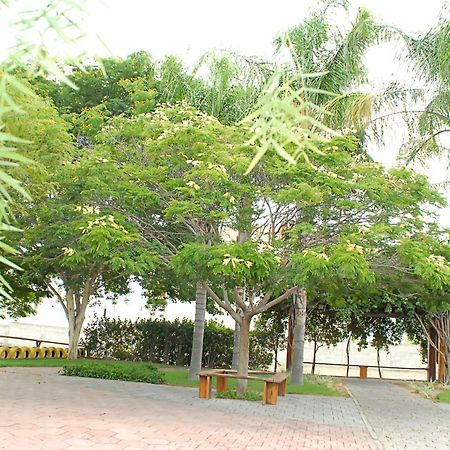 Hotel Flor Da Chapada Itaberaba エクステリア 写真